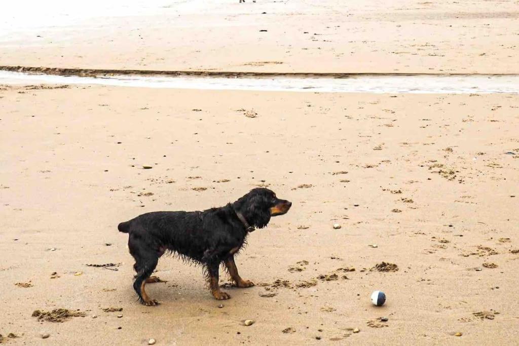 Large Cottage, Beach, Pubs Shops, Netflix, Bbq, Dog Friendly Hunmanby Εξωτερικό φωτογραφία